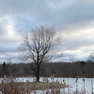 Meet your Posher, Mayan